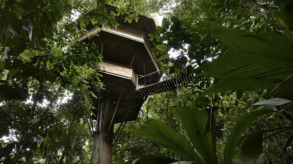 A comunidade se chama Finca Bellavista e conta com 25 estruturas já construídas.